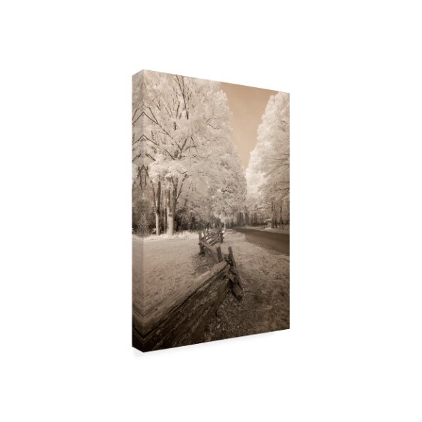 Monte Nagler 'Staggered Fence Sepia' Canvas Art,16x24